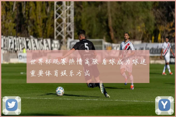 世界杯观赛热情高涨 看球成为球迷重要体育娱乐方式