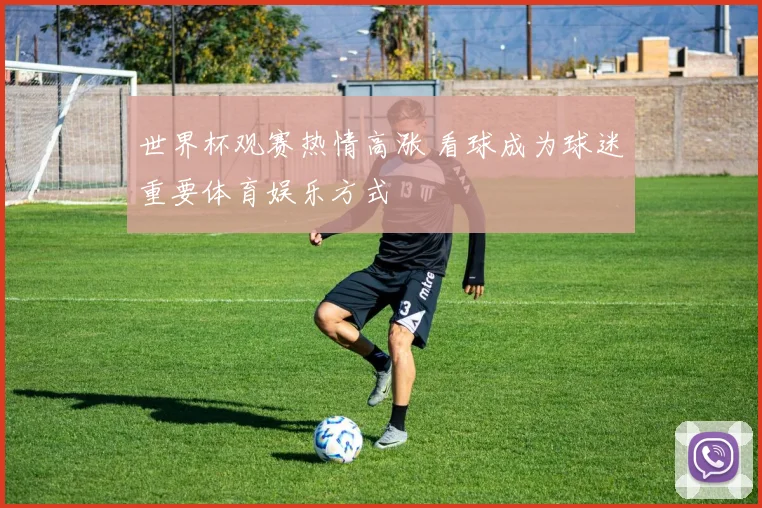 世界杯观赛热情高涨 看球成为球迷重要体育娱乐方式