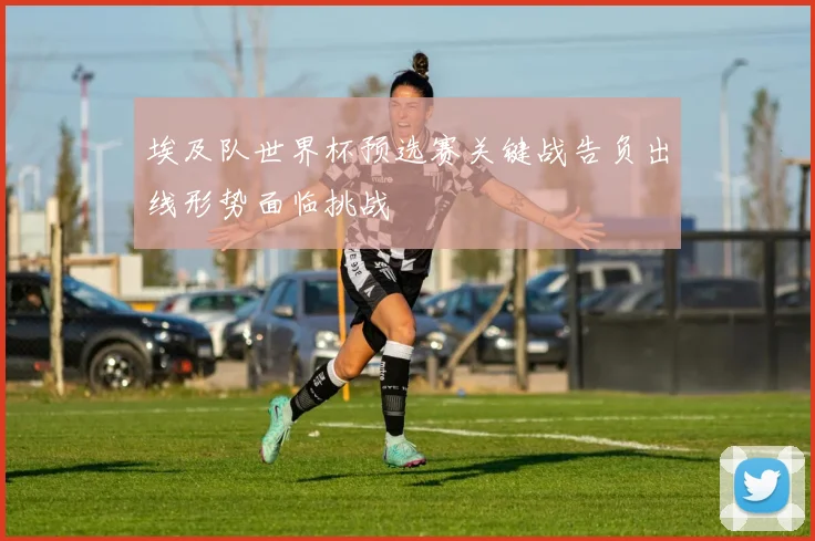 埃及队世界杯预选赛关键战告负出线形势面临挑战