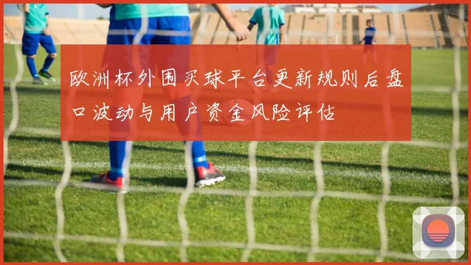 欧洲杯外围买球平台更新规则后盘口波动与用户资金风险评估