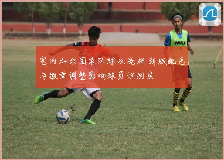 塞内加尔国家队球衣亮相 新版配色与徽章调整影响球员识别度
