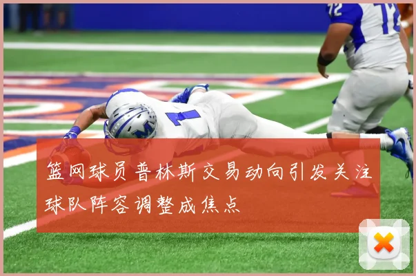 篮网球员普林斯交易动向引发关注球队阵容调整成焦点