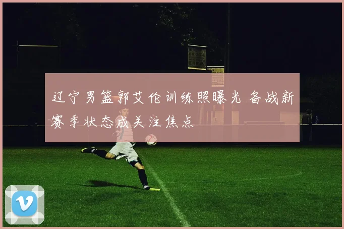 辽宁男篮郭艾伦训练照曝光 备战新赛季状态成关注焦点