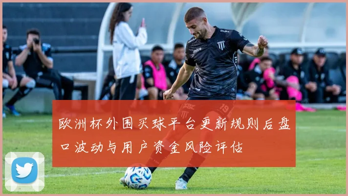 欧洲杯外围买球平台更新规则后盘口波动与用户资金风险评估